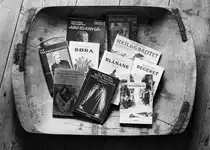 Ystaas sine bøker. Foto: Agurtxane Concellon